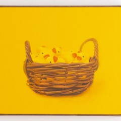 あひる 38 x 46 cm キャンバスに油彩 2015　