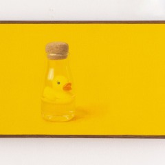 あひる 19 x 33 cm キャンバスに油彩 2015　