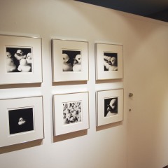 あひる 30 x 30 cm インクジェットプリント 2015　