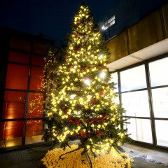 光るあひるツリー