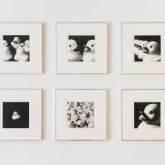 あひる 30 x 30 cm インクジェットプリント 2015　