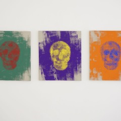 Skull あひる 45 x 53 cm キャンバスにアクリル絵具 2016